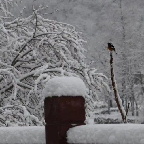 冰雪绣太行，河南游客半价游太行大峡谷啦