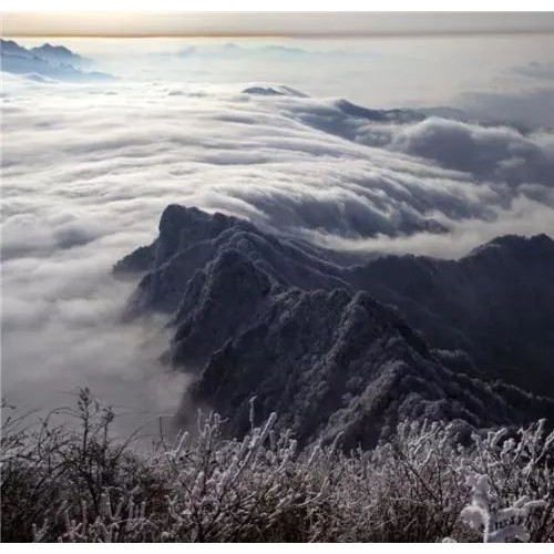 老君山景区：总有一场雪，为你而来！