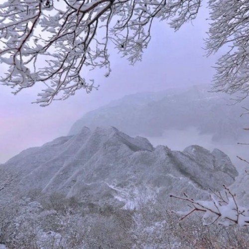 神农山失恋的第53天