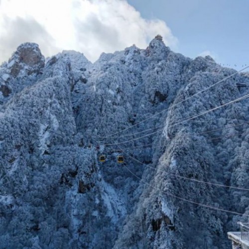 元旦假期老君山等你来一场雪地里的狂欢