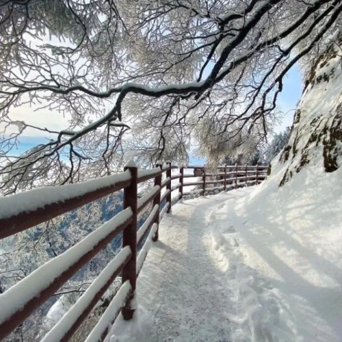 老君山景区：《道德经》的智慧｜第三章 不尚贤，使民不争