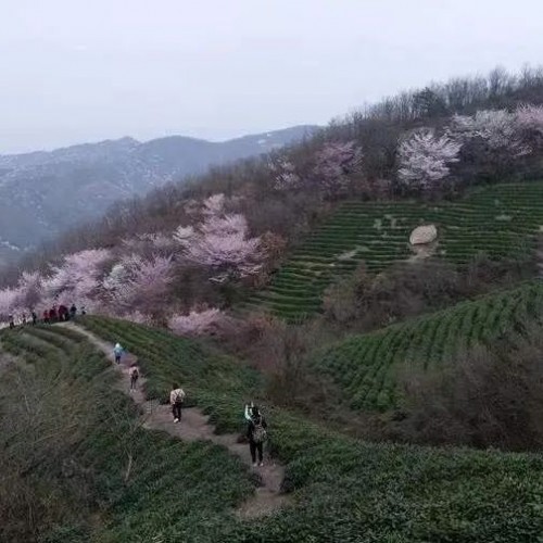 鸡公山：【行走河南·读懂中国】—楚塞三关隘，云峰入望重·义阳三关前言篇