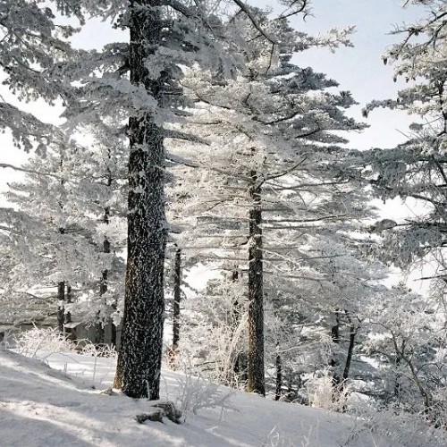 冰雪尧山绘制一幅恢弘壮美又不失浪漫的雪景画卷