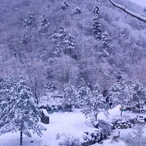 陕西金丝峡景区：冰雪里的童话世界