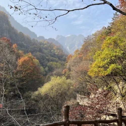 雨后的老君山，是你想象不到的美！