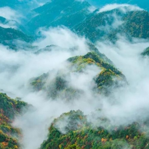 一定不要错过雨后的老君山！