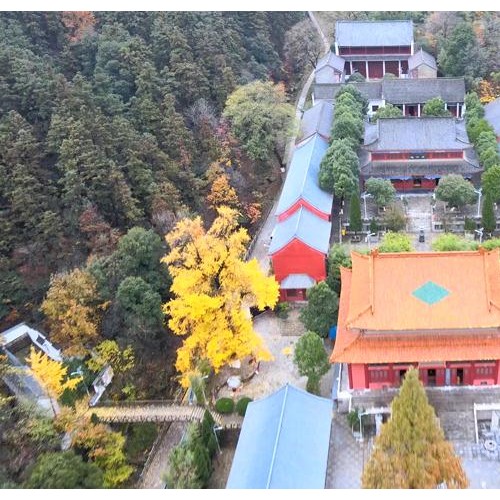 信阳灵山｜远山一林斑斓色，淡浓交替随风入画
