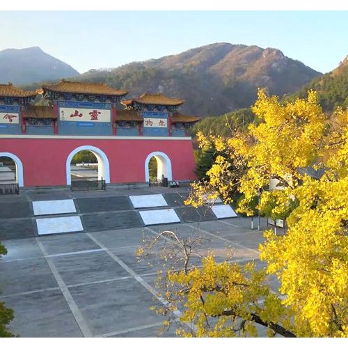 美景如画，金黄色的信阳灵山等你来赏~~