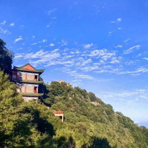 全国